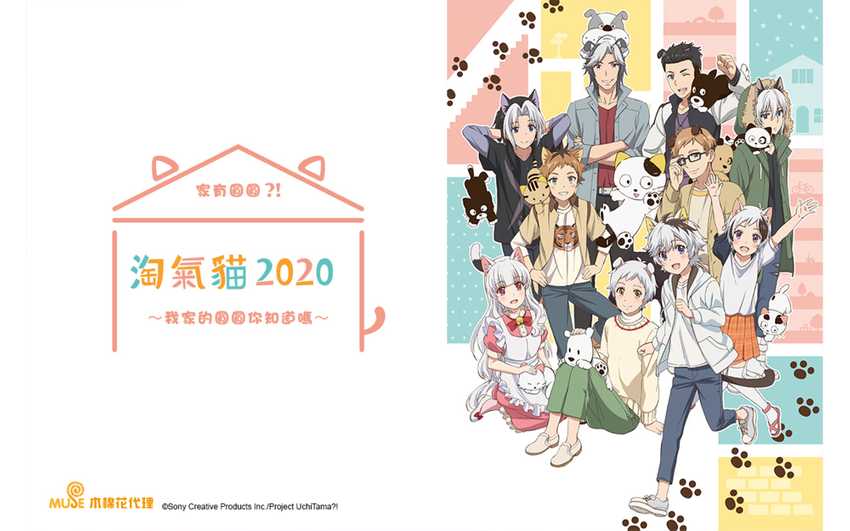 淘氣貓2020：家有圓圓？！我家的圓圓你知道嗎～