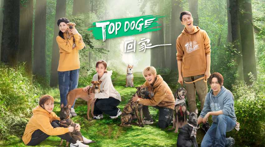 TOP DOG